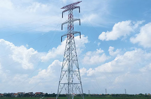 El campo de la red el&eacute;ctrica