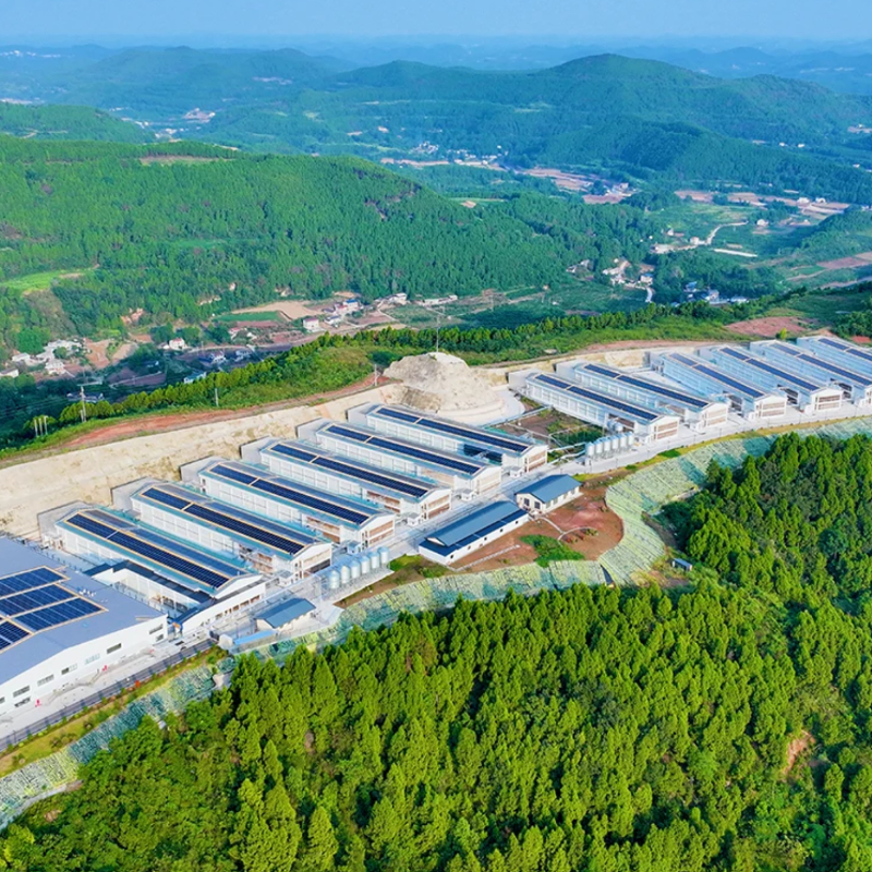 Servicios de proyectos EPC fotovoltaicos